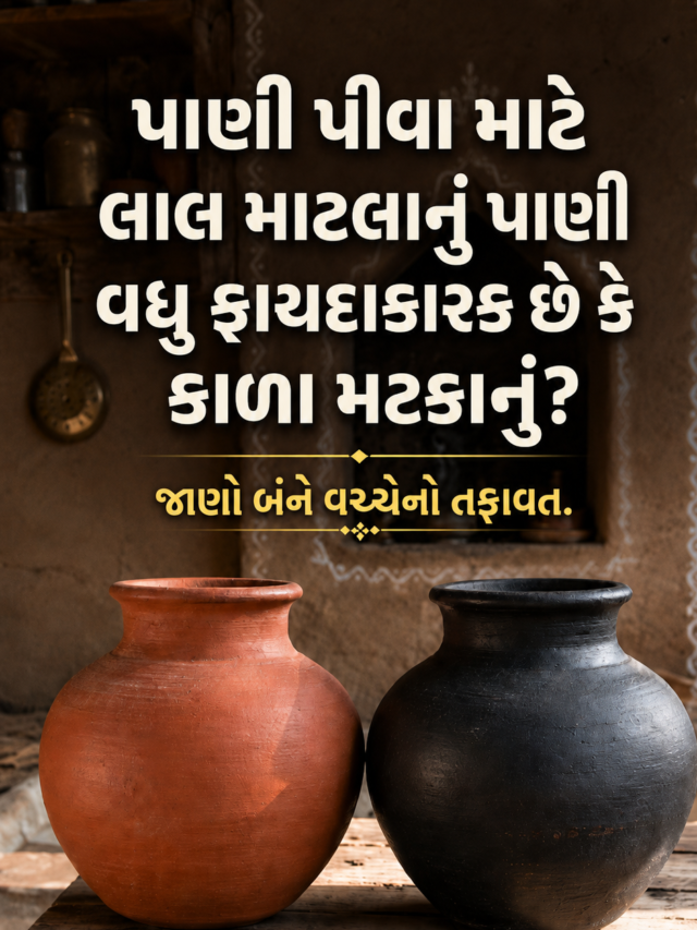 લાલ માટલાનું પાણી વધુ ફાયદાકારક છે કે કાળા મટકાનું?