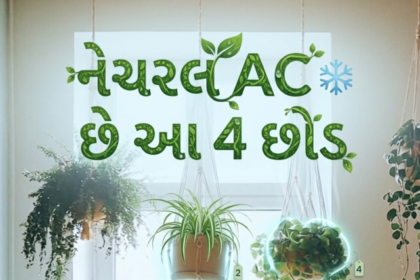 natural-ac-plants-for-home-gujarati