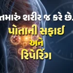 Autophagy Benefits Gujarati