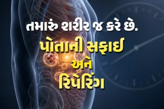 Autophagy Benefits Gujarati
