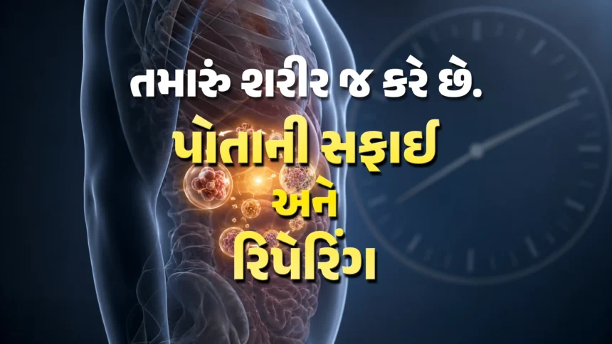 Autophagy Benefits Gujarati
