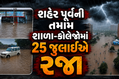 ahmedabad-heavy-rain-school-college-holiday-25-july-deo-order